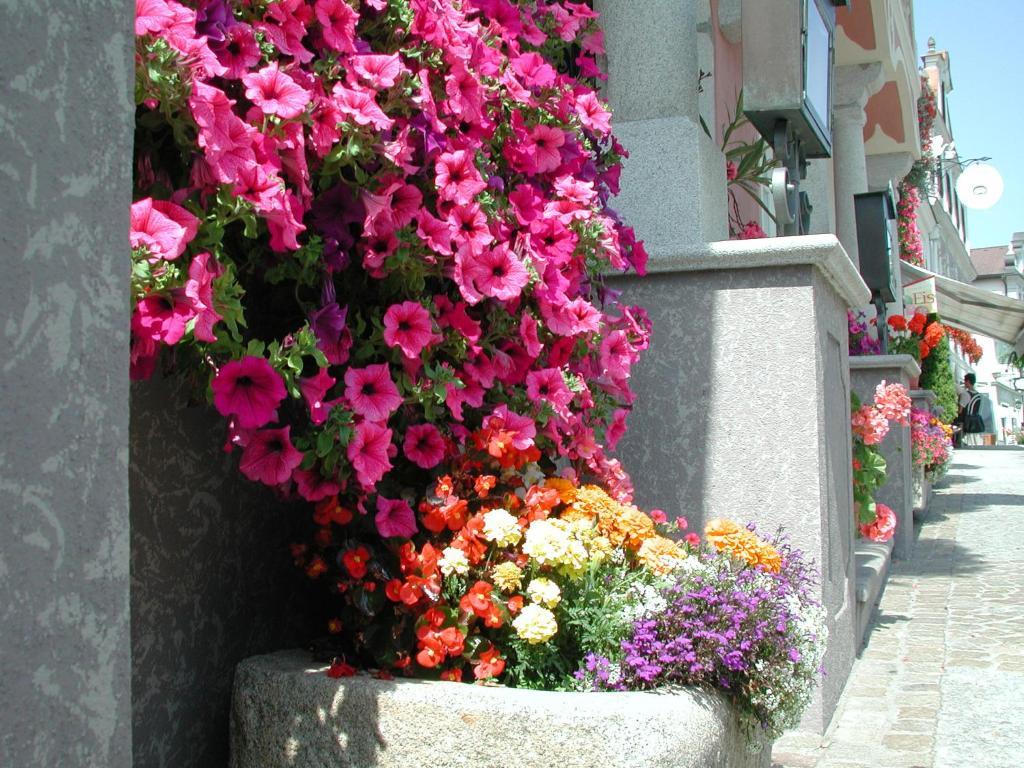 Hotel Sammer Neufelden Esterno foto